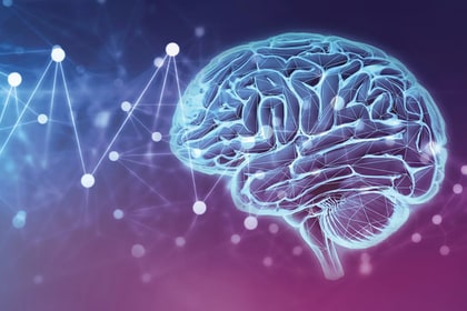 illustration of brain wiht a grid of lines over it