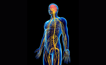 autonomic disorders clinic