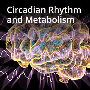 Circadian Rhythm and Metabolism