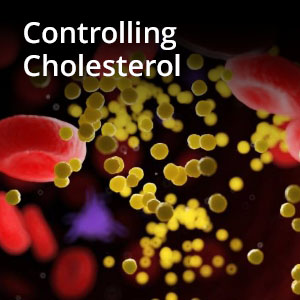 Cholesterol